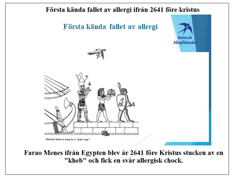 Farao Menes första kända allergiska chock